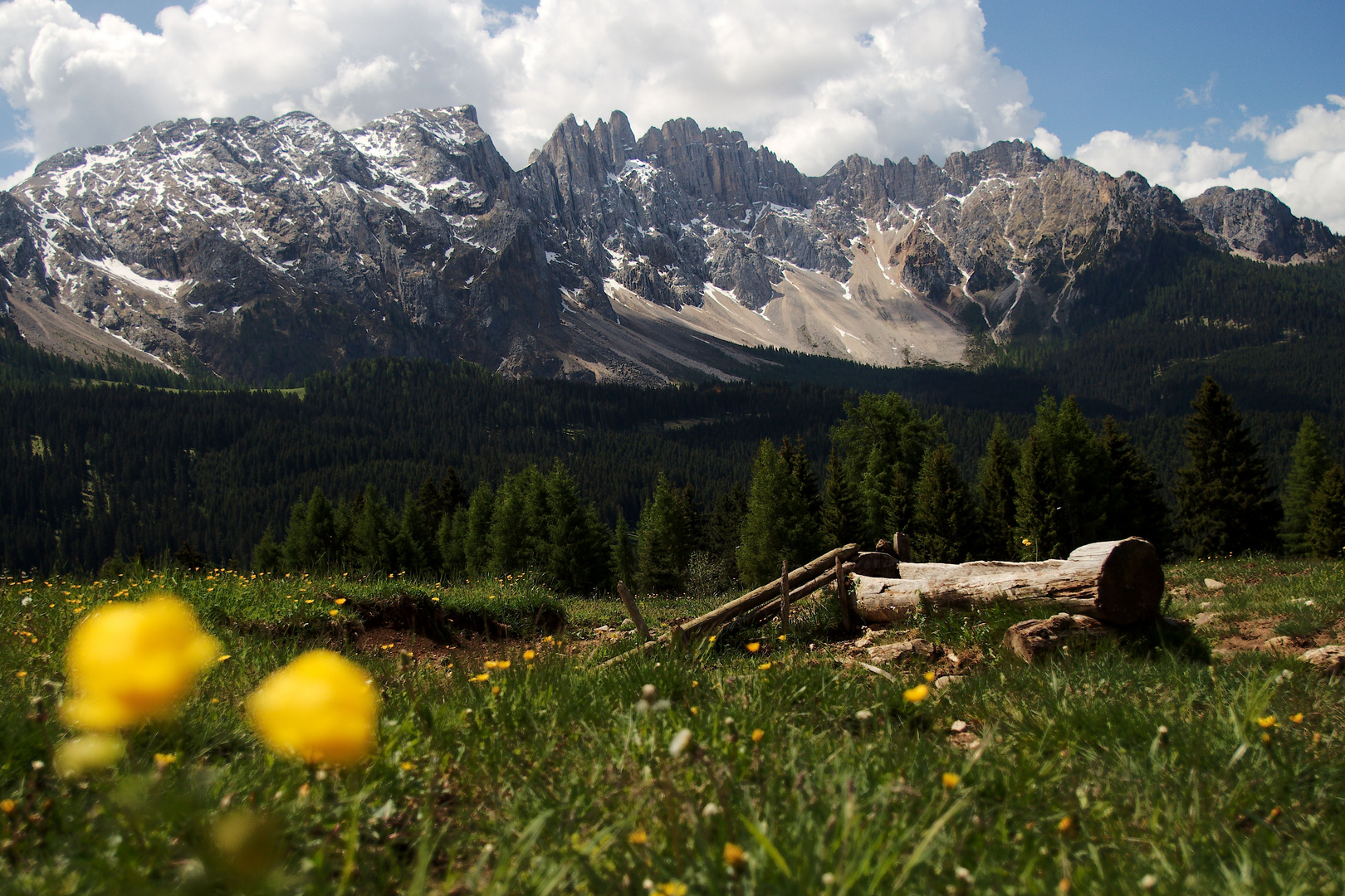 Latemar Impressionen Foto & Bild landschaft, berge, wiese Bilder auf