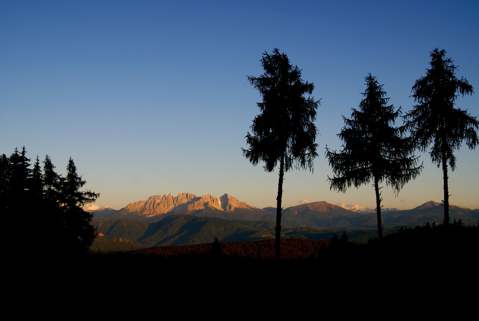 Latemargruppe im Abendlicht