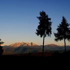 Latemargruppe im Abendlicht