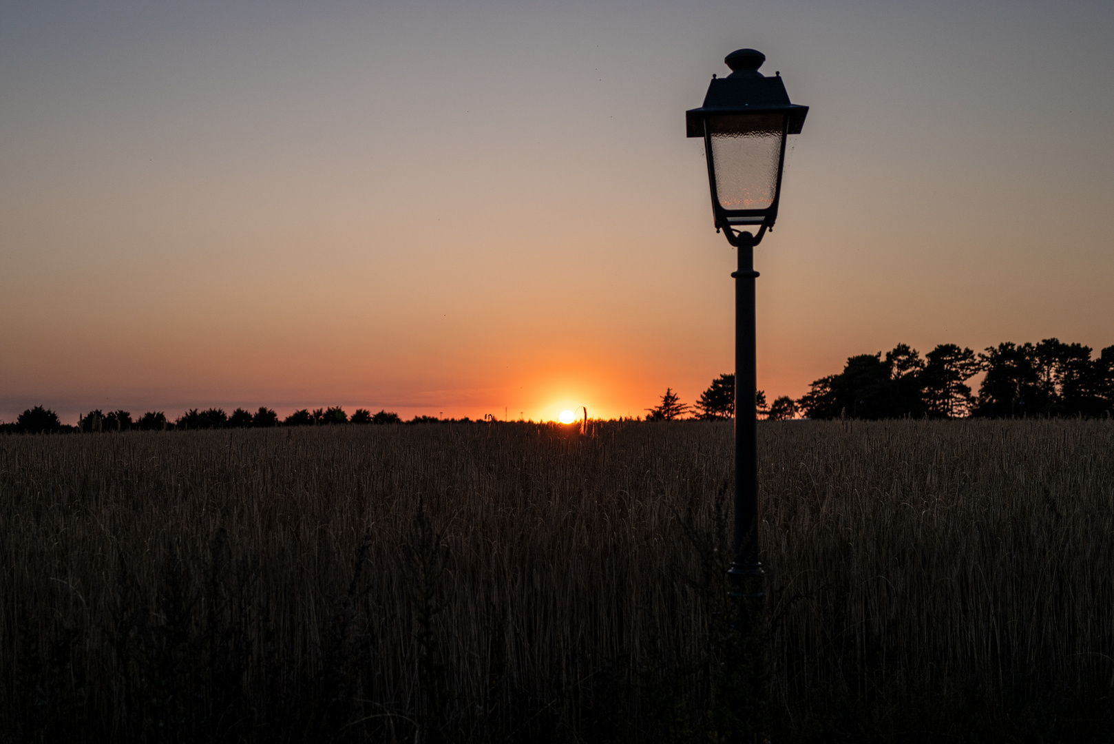 Laterne im Licht