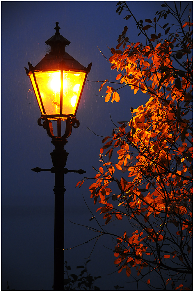 Laterne im Regen