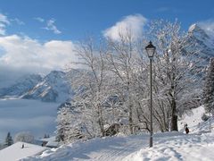 Laterne im schnee