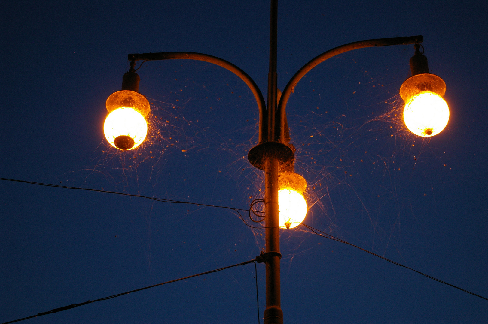 Laternen mit Spinnennetzen überzogen im Abendlicht