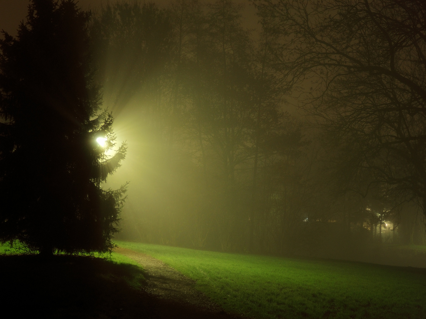 Laternenlicht im Park