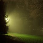 Laternenlicht im Park
