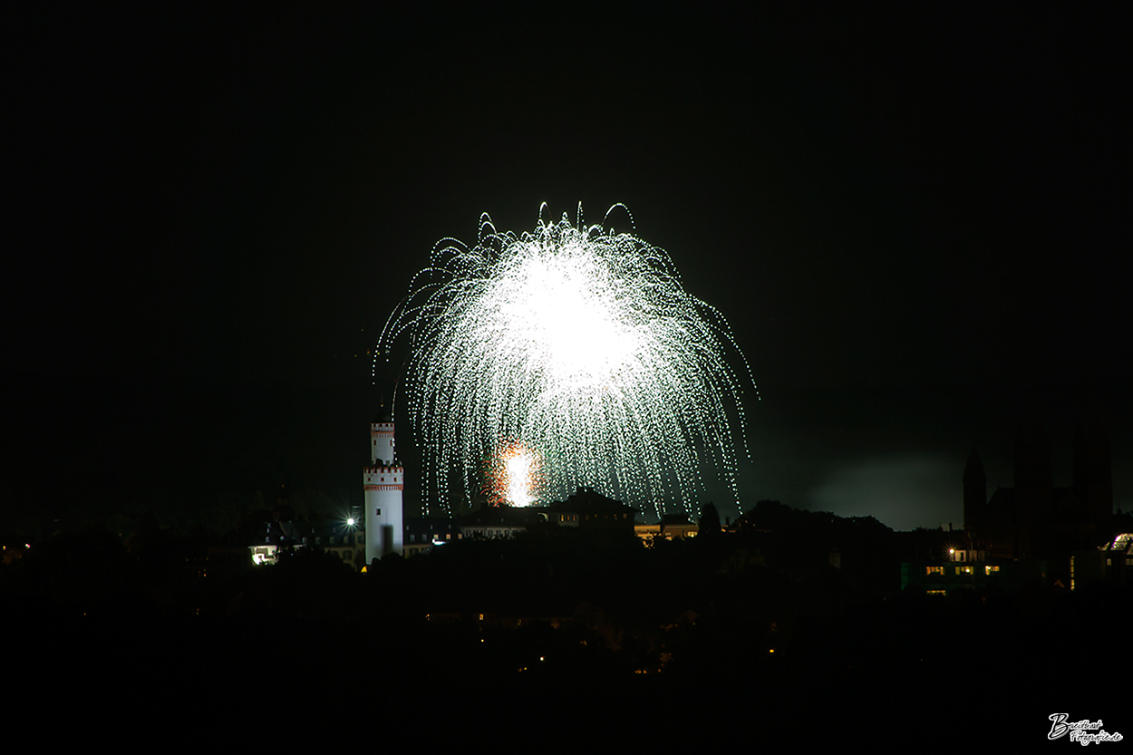 Laternfest 2011