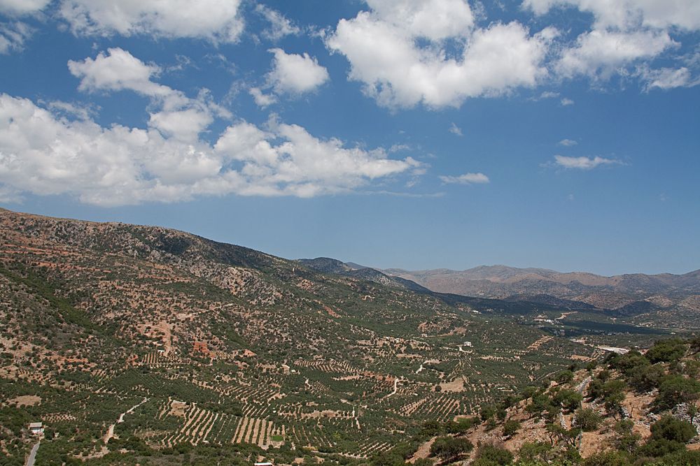 Lato Panorama