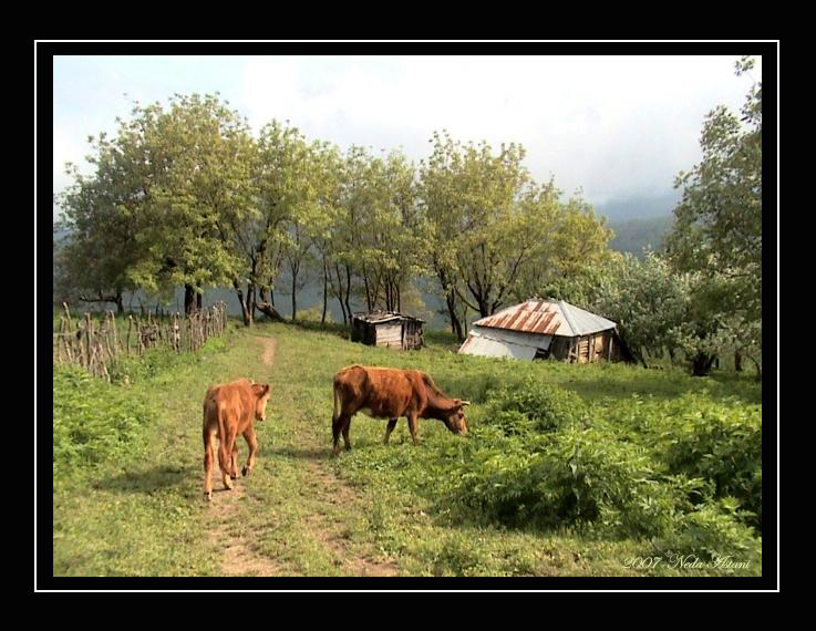 Latoun Village