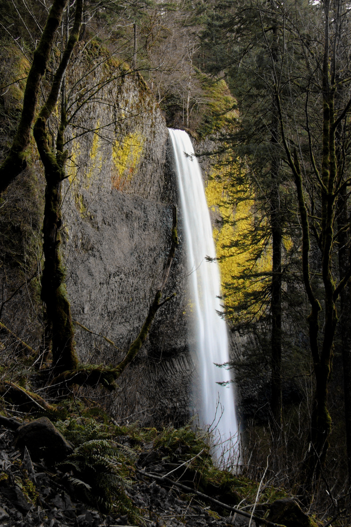 Latourell Falls