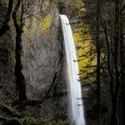 Latourell Falls