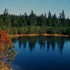 Latschensee im Bayerischen Wald