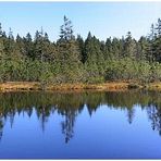 Latschensee im Latschenfilz (Nationalpark Bayerischer Wald)