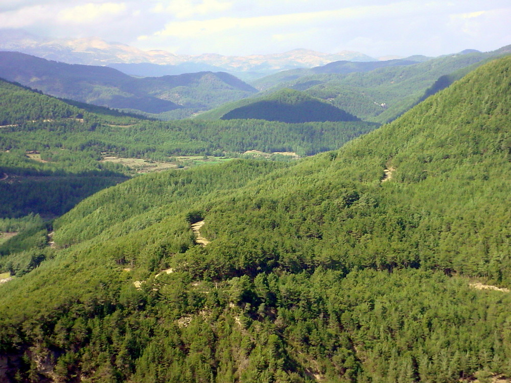 Lattakia * Syria * Kassab forests Foto & Bild asia, middle east