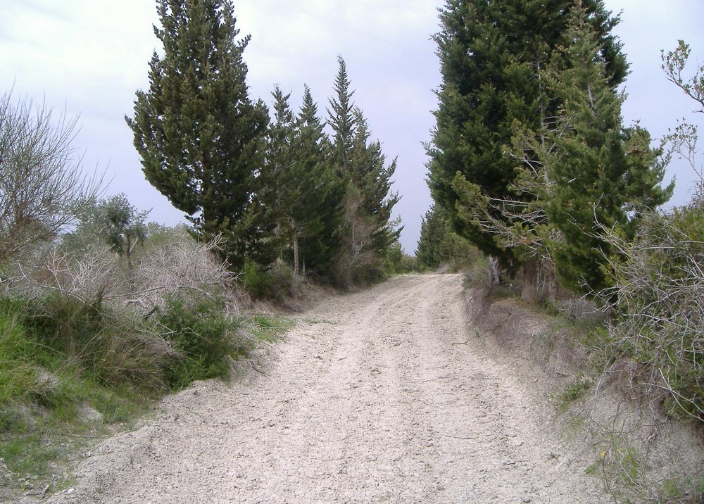 lattakia , village road