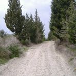 lattakia , village road