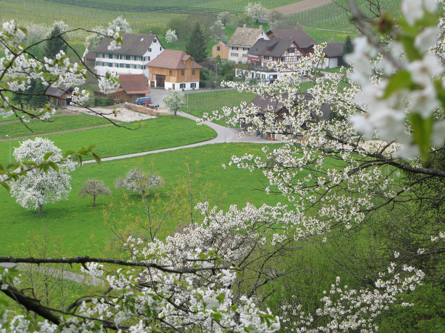 Lattenberg