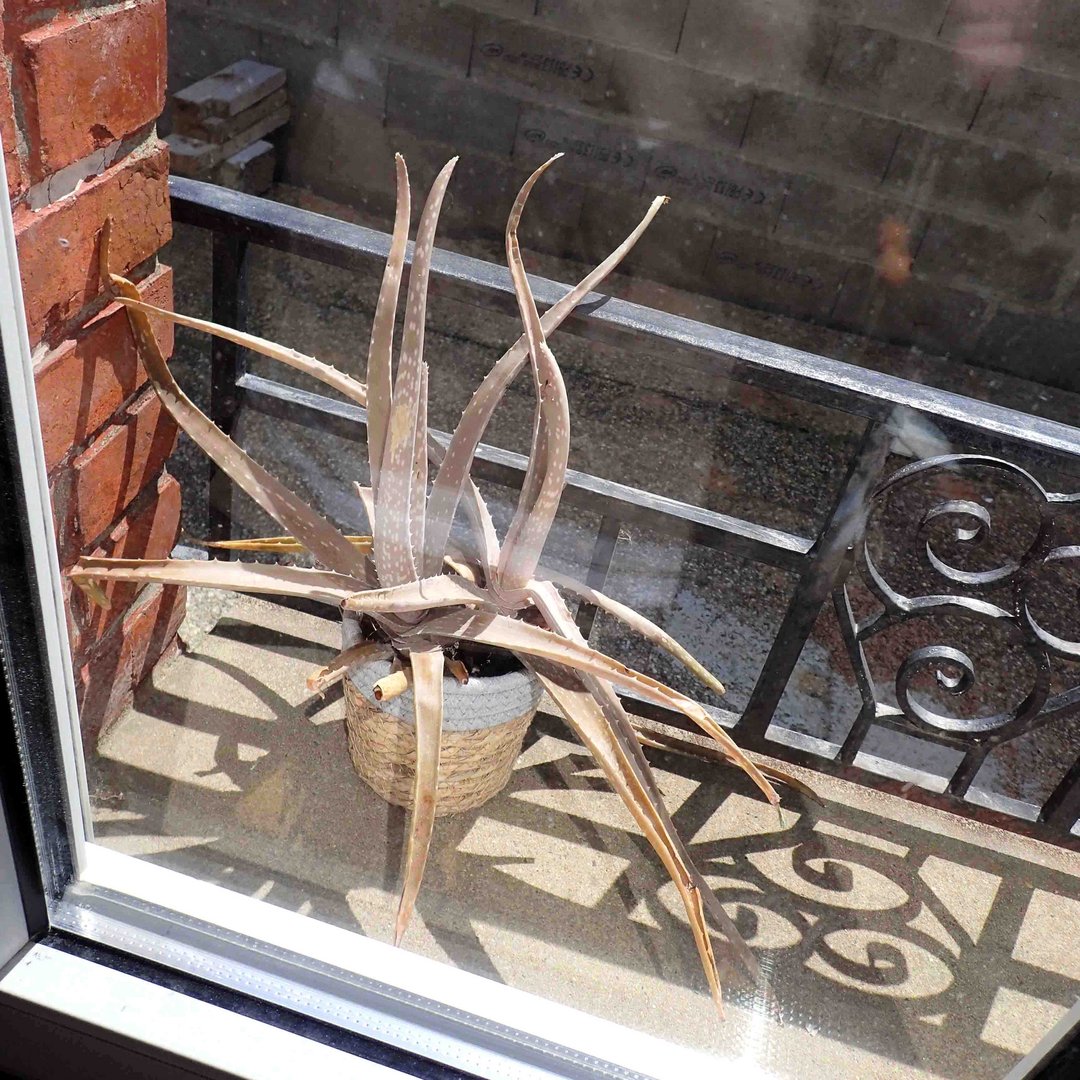 l'attente au balcon