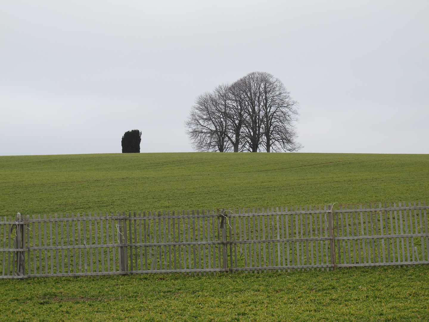 Lattenzaun