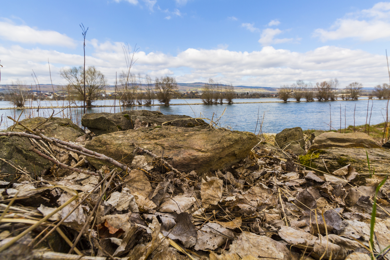 Laub am Rhein