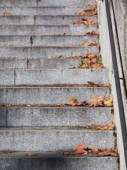 Laub an Treppe