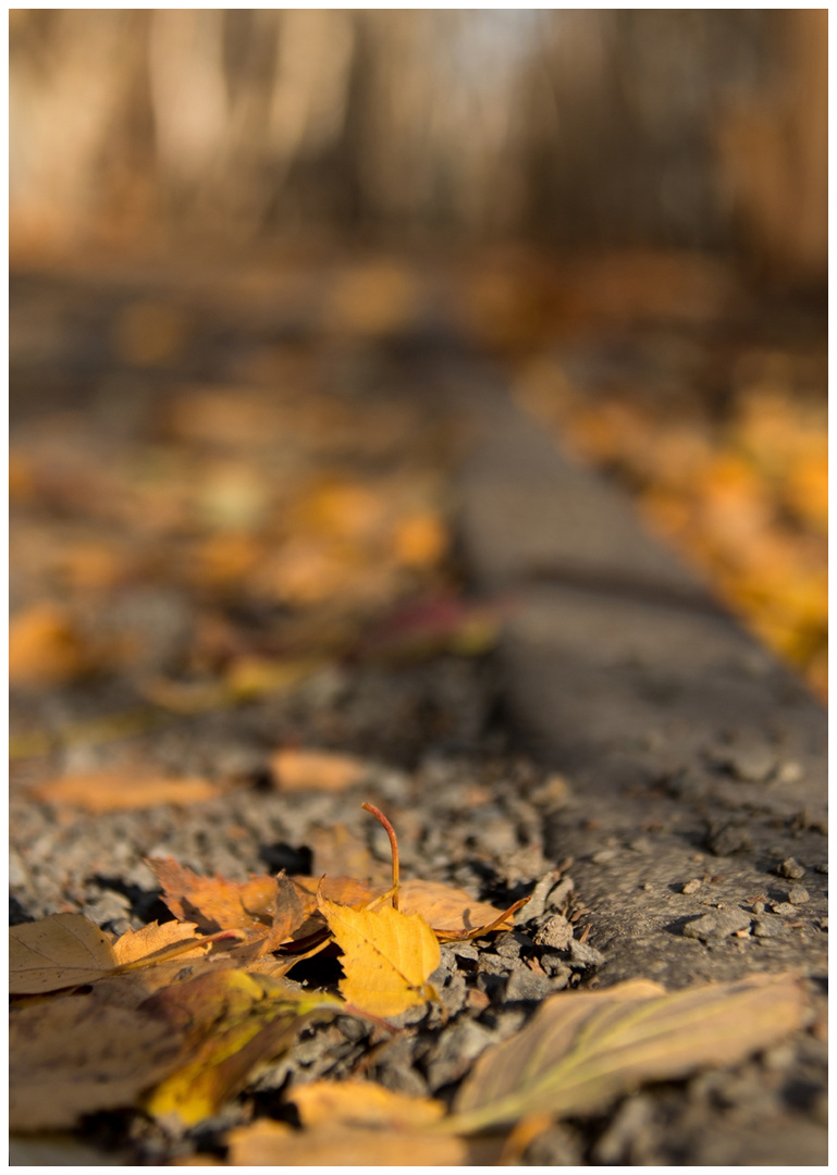 Laub auf dem Weg im Park