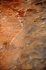 Laub bedeckt mit Eis