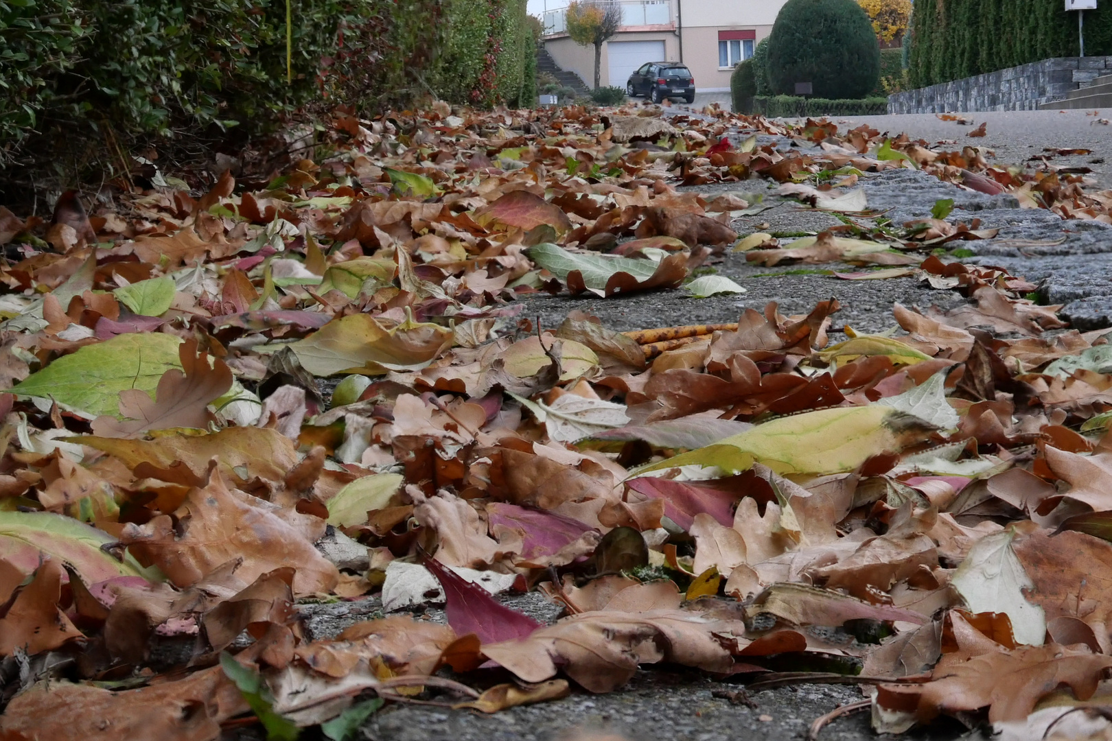 Laub Foto & Bild jahreszeiten, herbst, laub Bilder auf