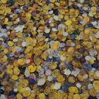 Laub: Herbst-Winter_01a