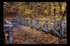 "Laubbrücke"