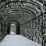 Laubengang beim Schloss Schönbrunn