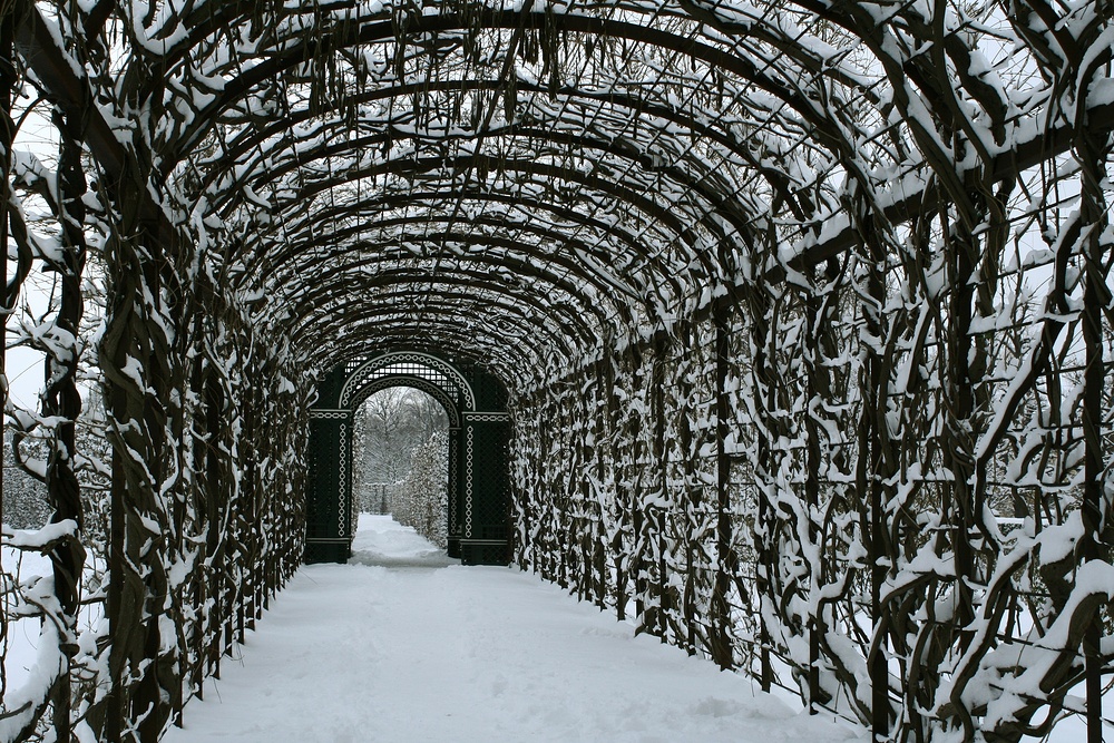 Laubengang beim Schloss Schönbrunn (begradigte Version)