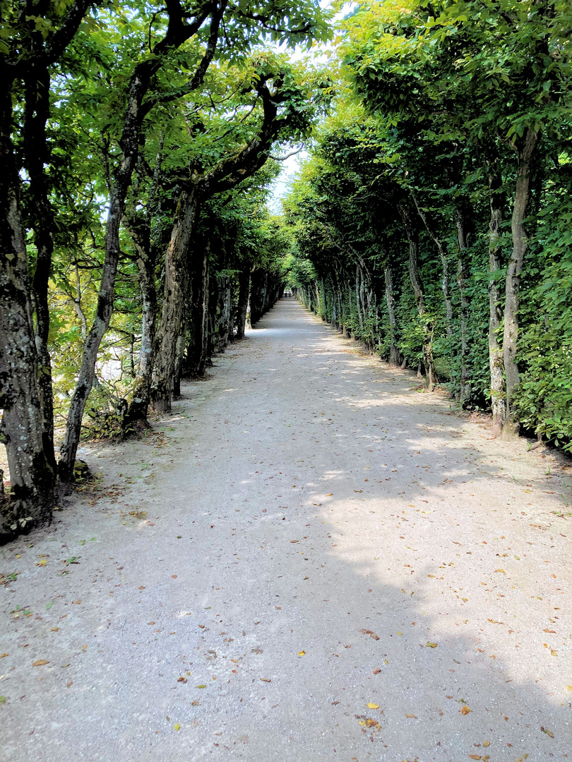 Laubengang Eremitage Bayreuth