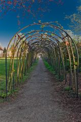 Laubengang im Park