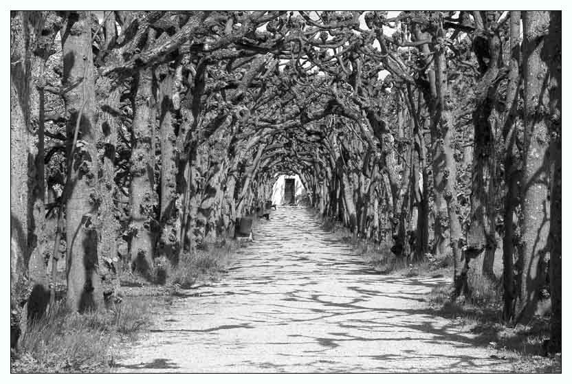 Laubengang im Schloss Dachau