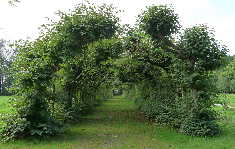 Laubengang im Schlosspark