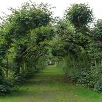 Laubengang im Schlosspark