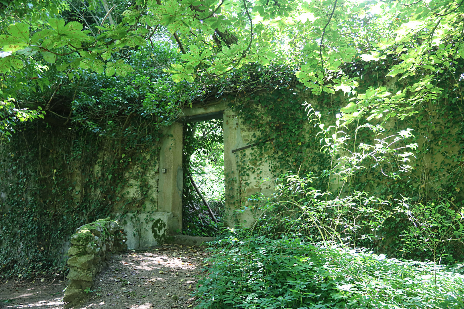 Laubengang im Schlosspark Dennenlohe