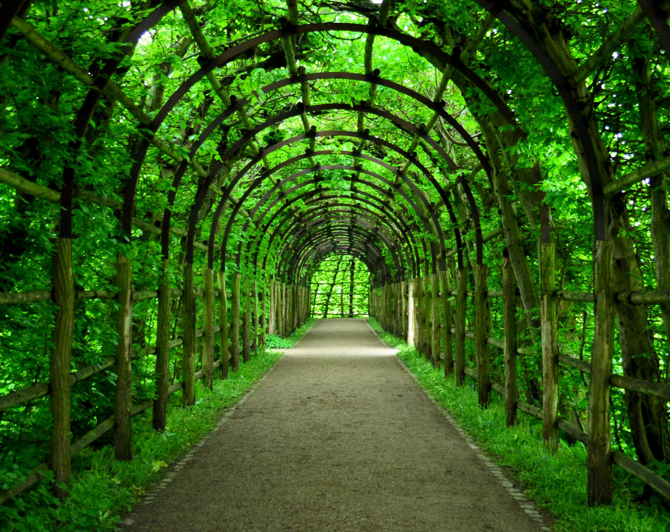 Laubengang im Schlosspark Schwerin