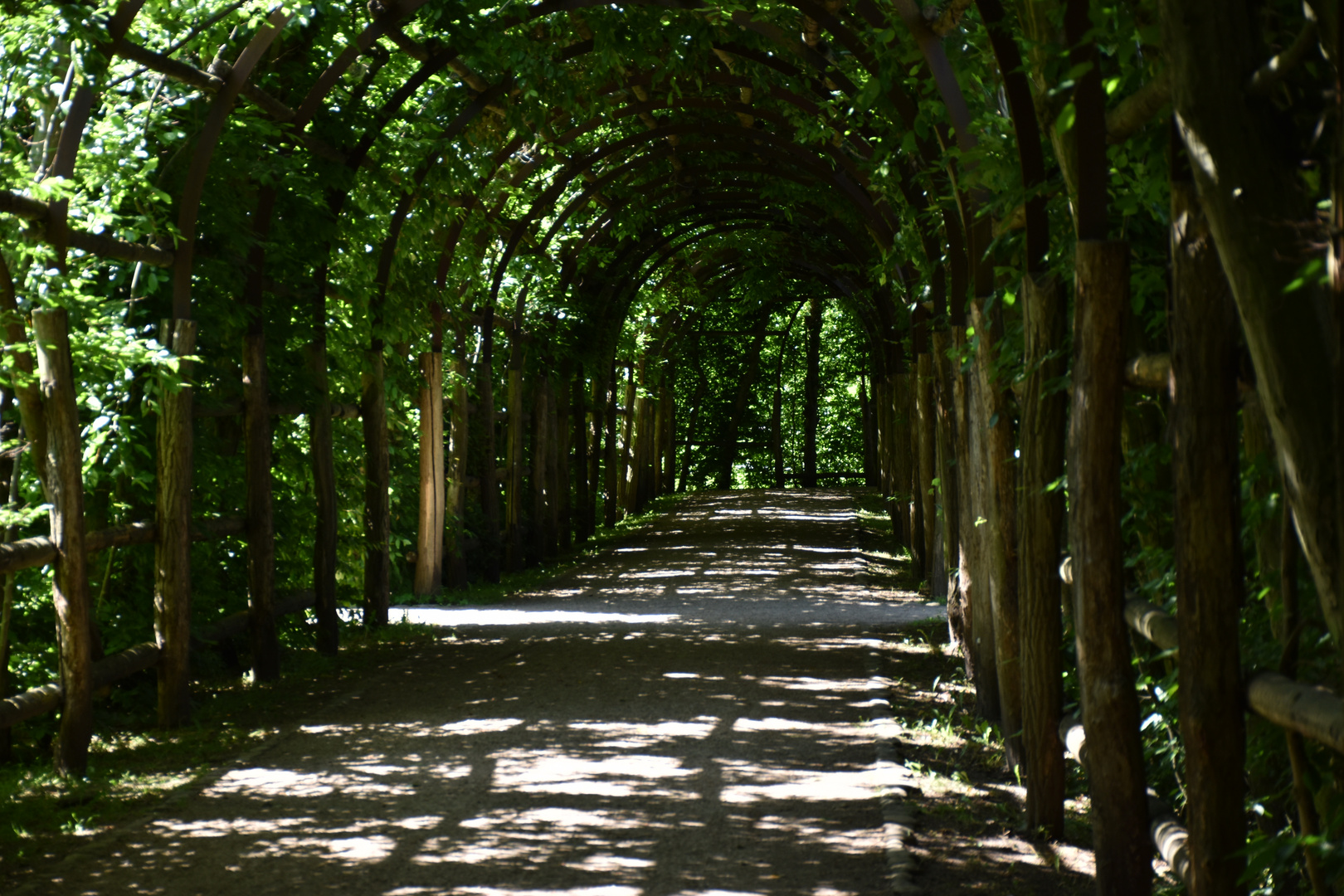 Laubengang im Schweriner Schlossgarten