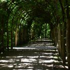 Laubengang im Schweriner Schlossgarten