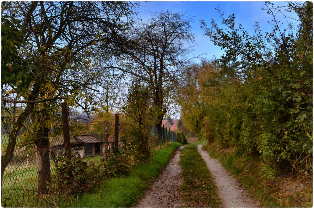 LaubenpieperIdylle Foto & Bild Bilder auf