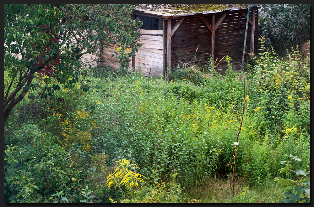 ...LaubenPieper´s Idylle