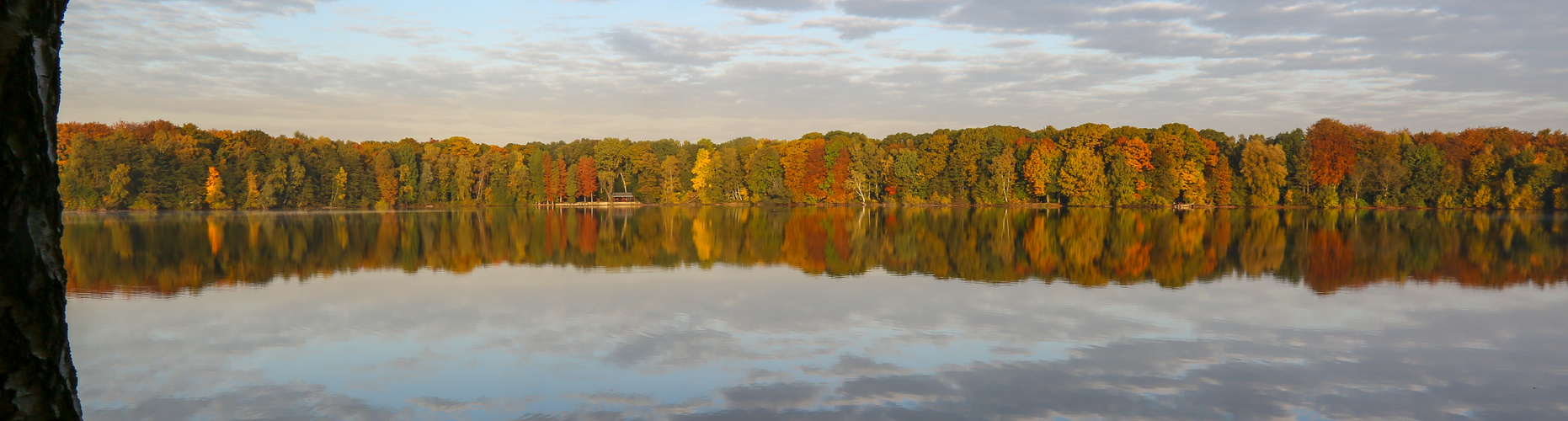 Laubfärbung am See