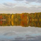 Laubfärbung am See