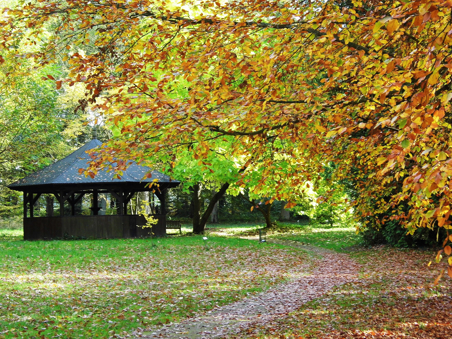 Laubfärbung im Dammereezer Landschaftspark