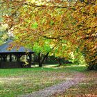 Laubfärbung im Dammereezer Landschaftspark