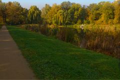 Laubfärbung im Herbst