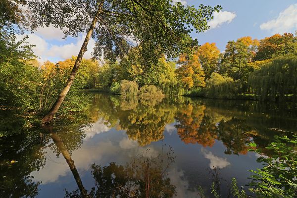 Laubfärbung im Park