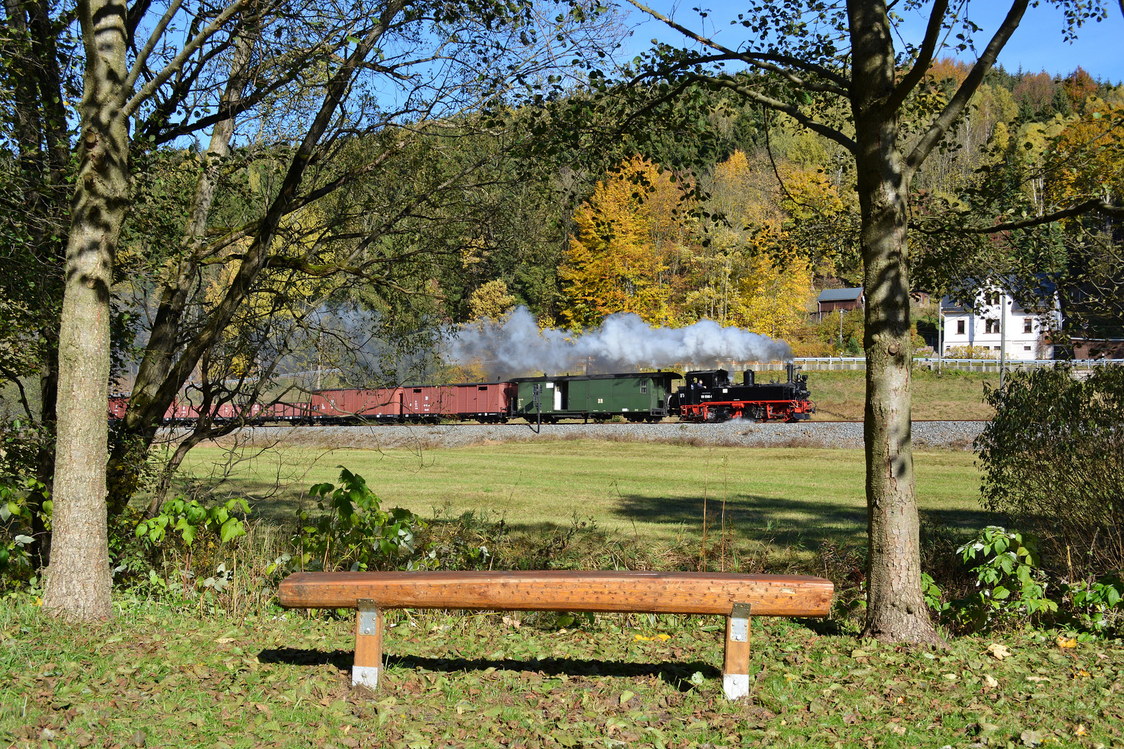 Laubfärbung im Preßnitztal