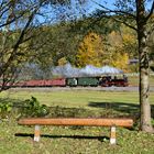 Laubfärbung im Preßnitztal